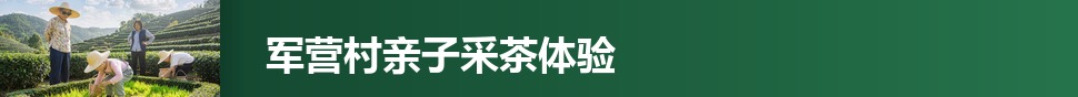 军营村亲子采茶 · 文章页三
