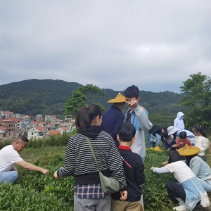 厦门岛外哪里好玩？厦门同安军营村：高山上的璀璨明珠，等您来探寻 ...