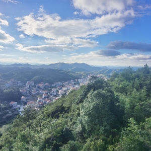 厦门同安军营村民宿一晚多少钱？军营村最好的民宿是哪一家？ ...