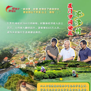 好班子 好班长丨厦门同安军营村：水清岸绿润“军营” 高山屋脊“别样红” ...