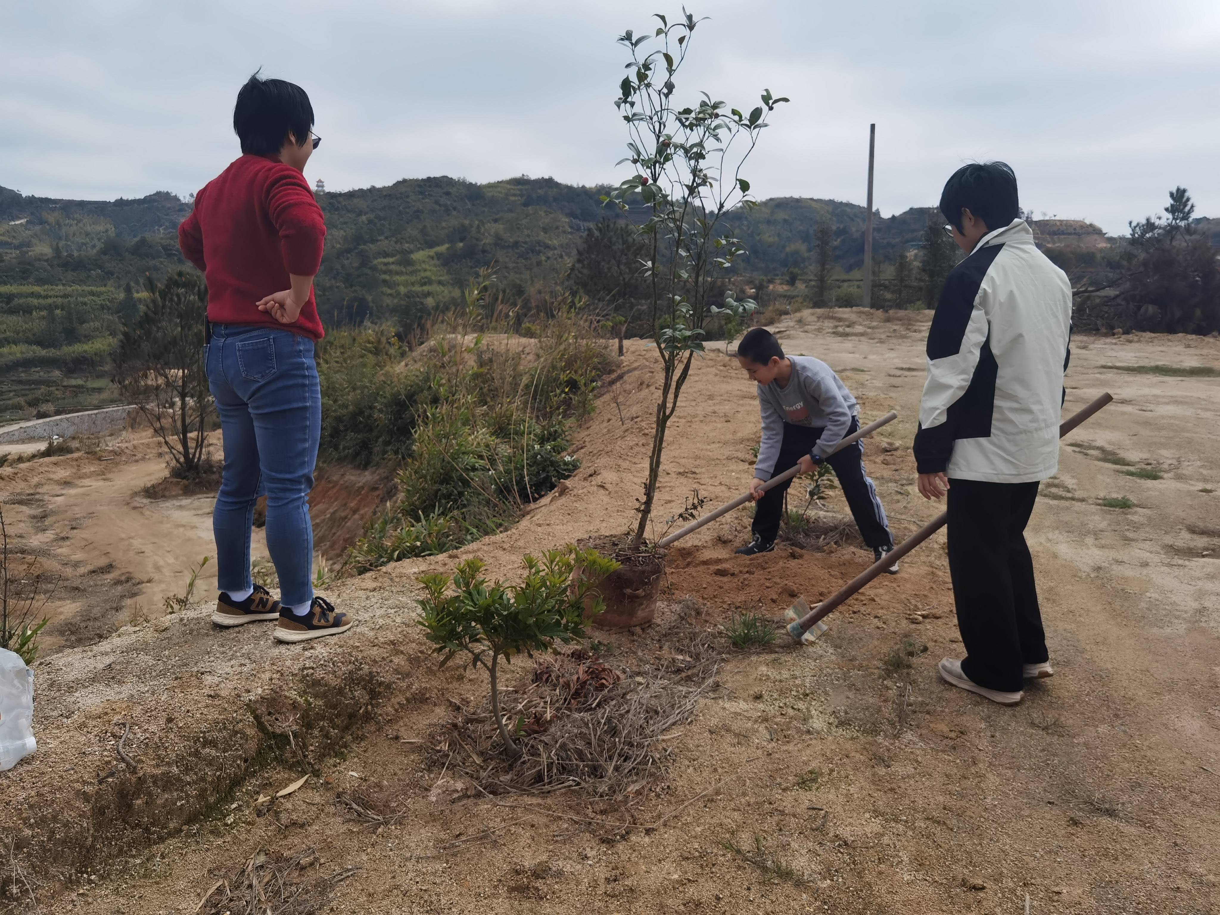 厦门同安军营村旅游服务中心，军营村团建党建服务中心，军营村高山迎旅游服务平台