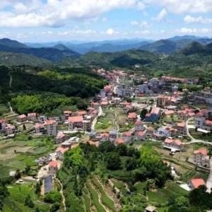 别再跟风去挤人山人海了，厦门军营村这处原生态乡村才是休闲圣地 ...
