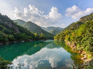 军营村微信群与新媒体平台使用规范
