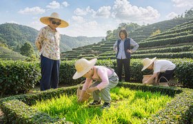 军营村活动